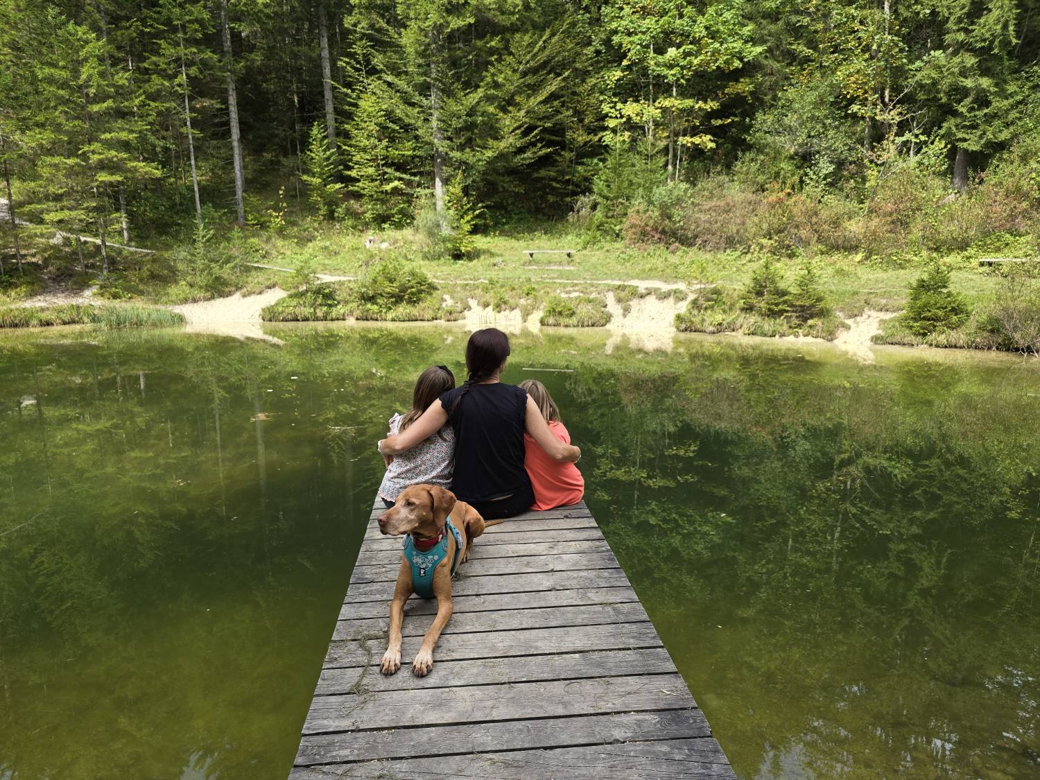 Jezero Kreda-Mojstrana 9662