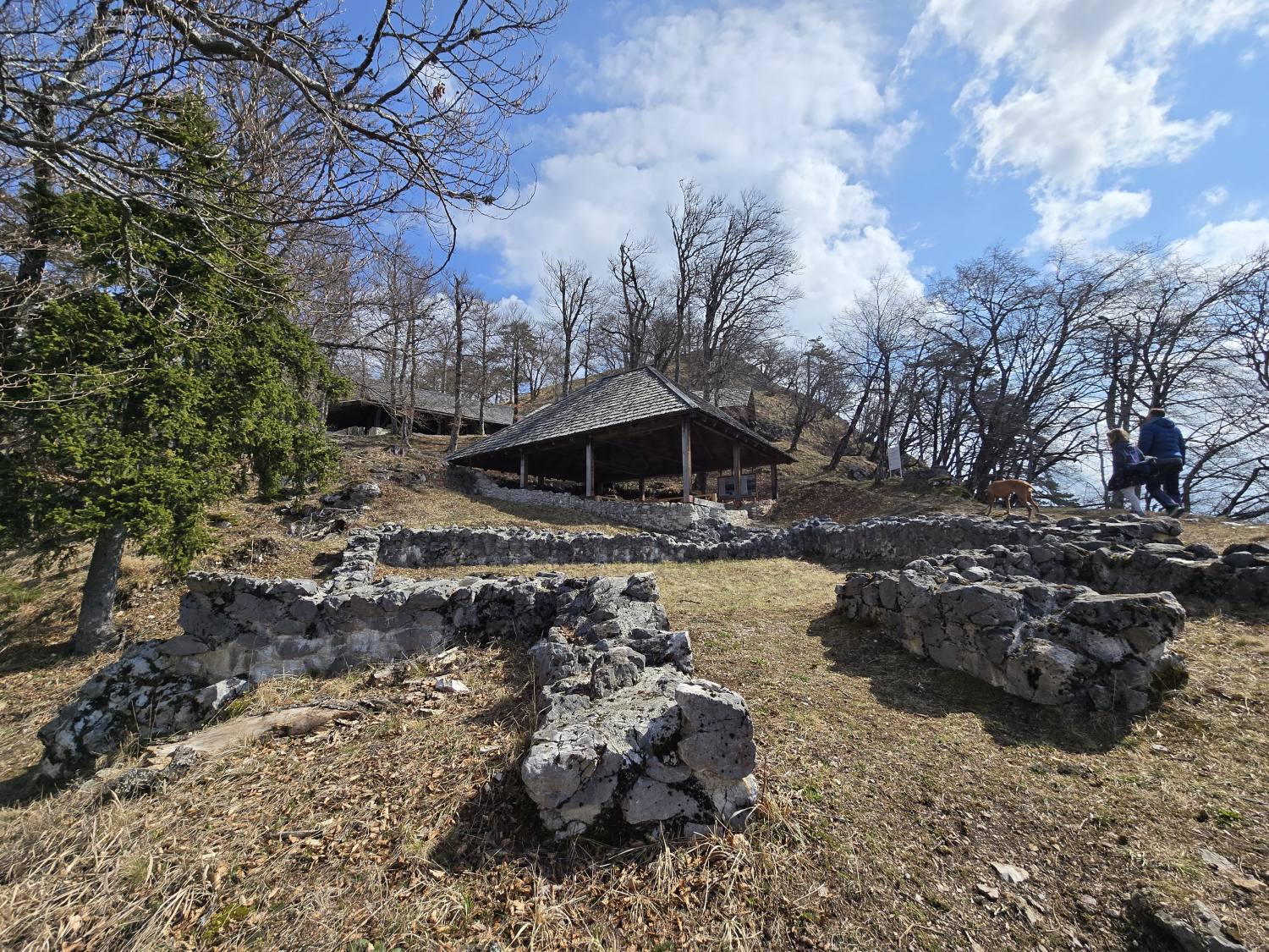 Ajdna nad Potoki-Žirovnica 9904