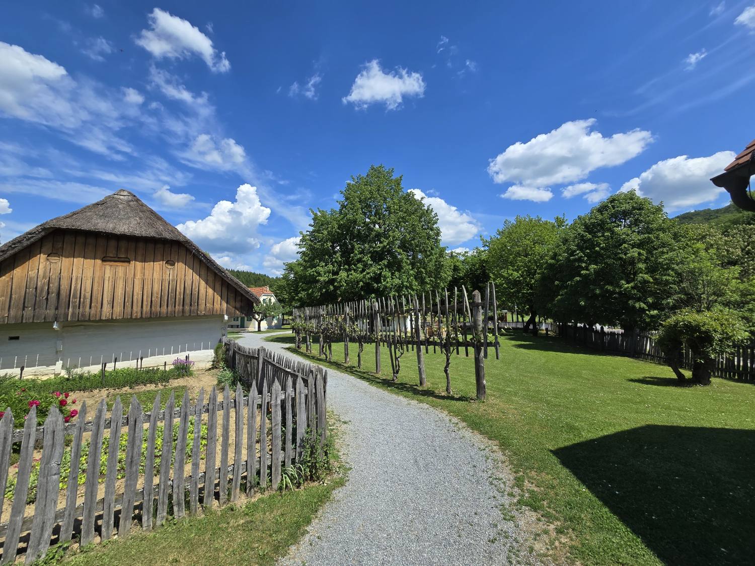 The town of Rogatec  9965
